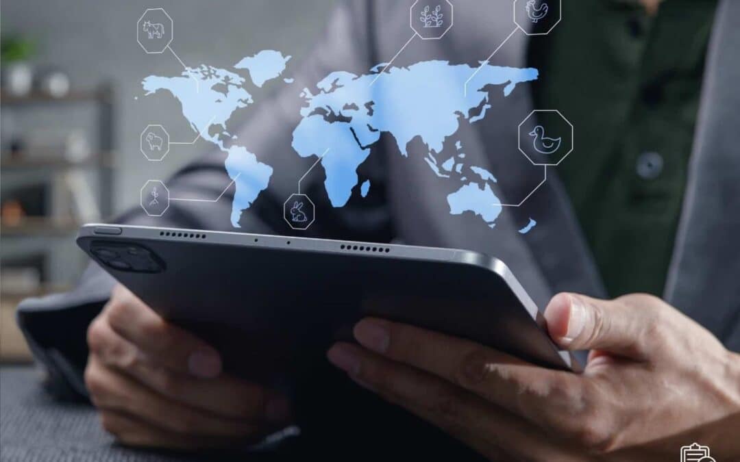 SaaS Application Development